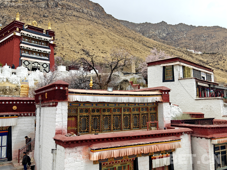 古刹帕邦喀 山寺桃花艳