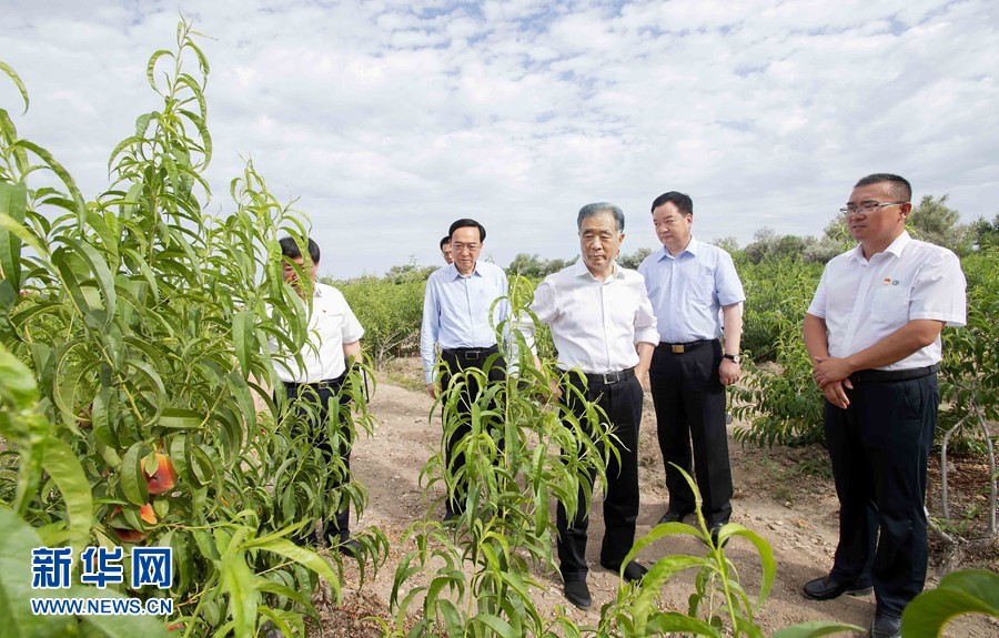 汪洋在新疆调研兵团工作时强调 赓续红色血脉 牢记职责使命